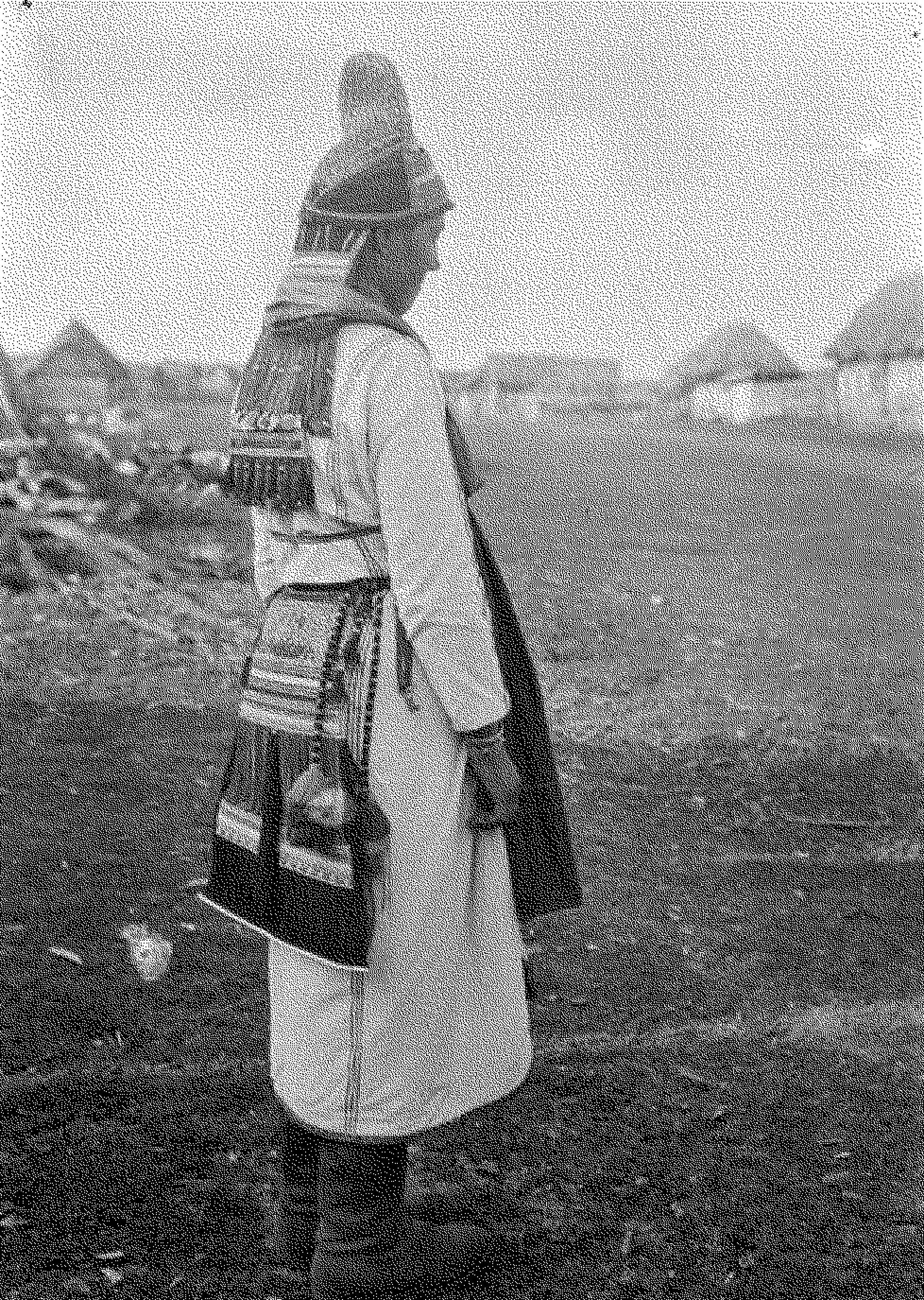 image 38.jpg